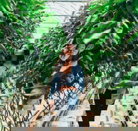 Yarra Valley Local Produce and Wine Tasting Tour - Hotel WA