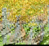 Margaret River Indulge and Discover Day Tour - Hotel WA