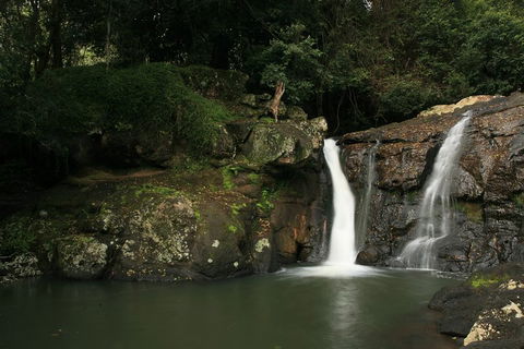 Hinterland Magic & Glow-worm Experience - Hotel WA 2