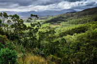 3-Day Tour to the Falls Mountains Lake  More of West Coast Tasmania, Hobart