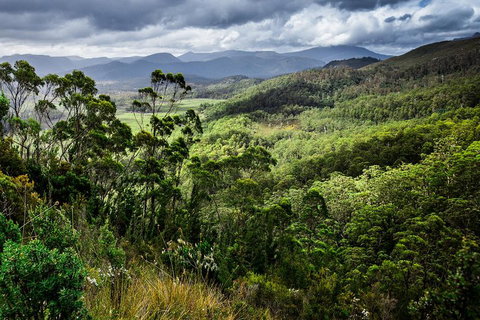3-Day Tour To The Falls, Mountains, Lake & More Of West Coast Tasmania - Hotel WA 0