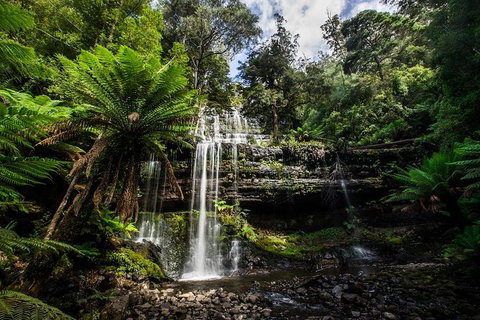 3-Day Tour To The Falls, Mountains, Lake & More Of West Coast Tasmania - Hotel WA 4