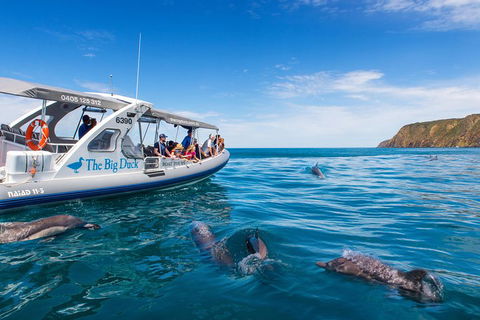 Victor Harbor And McLaren Vale Wine Region Day Tour - Hotel WA 1