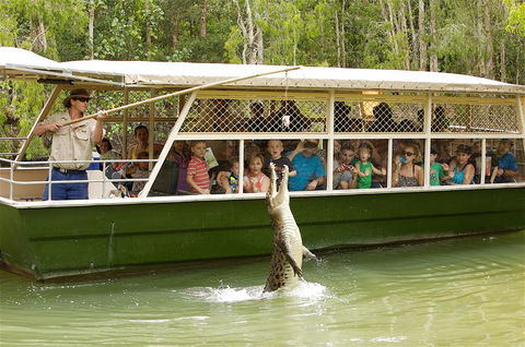 Hartley's Crocodile Adventure Half-Day Tour - Hotel WA 0