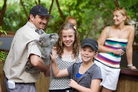 Hartley's Crocodile Adventure Half-Day Tour - Hotel WA 3