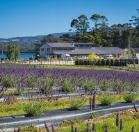 Private Hobart Discover South East Food and Scenic Tour - Hotel WA