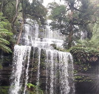 6-Day Hearty Tasmania Tour Tasmania in a Circle - Hotel WA
