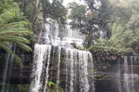 Book Viator Accommodation Vacations Hotel WA Hotel WA