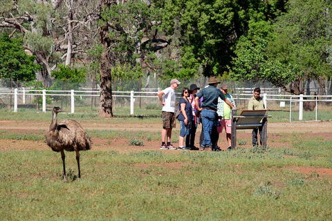 Yura Udnyu - Our Culture, Your Culture (Aboriginal Cultural Walk) - Hotel WA 1