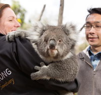 Bonorong Wildlife Park and Richmond Afternoon Tour from Hobart - Hotel WA
