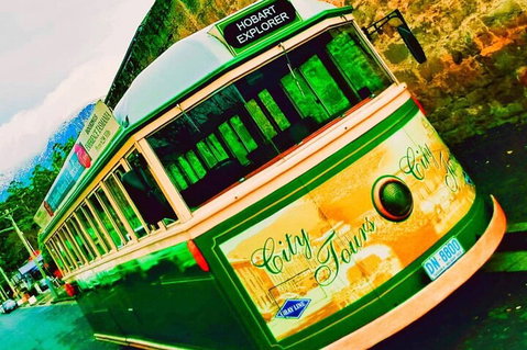 Hobart Half-Day Sightseeing Coach Tram Tour - Hotel WA 5