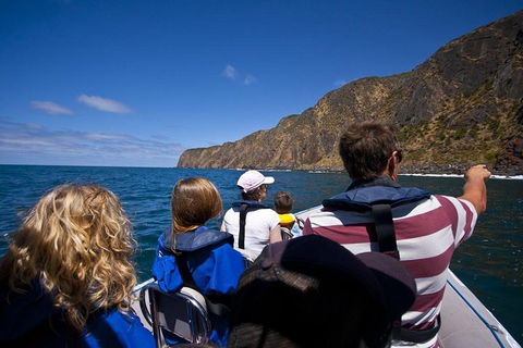Seal Island Boat Tour From Victor Harbor - Hotel WA 0