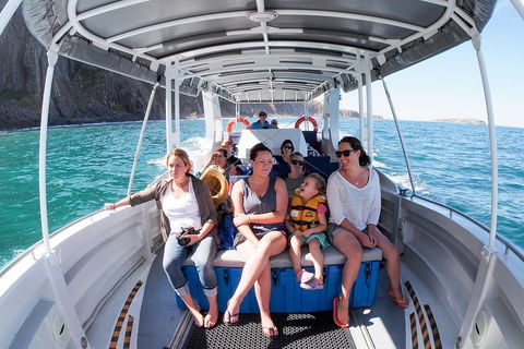 Seal Island Boat Tour From Victor Harbor - Hotel WA 1