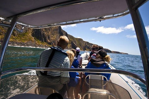 Seal Island Boat Tour From Victor Harbor - Hotel WA 2