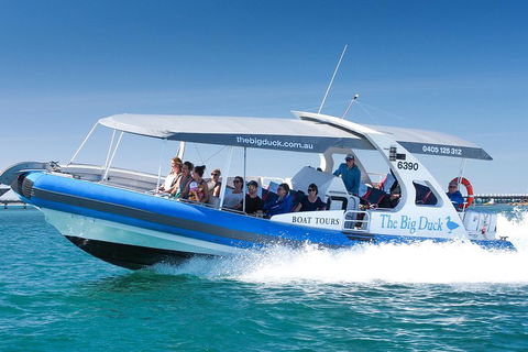 Seal Island Boat Tour From Victor Harbor - Hotel WA 3