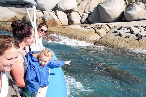 Seal Island Boat Tour From Victor Harbor - Hotel WA 4