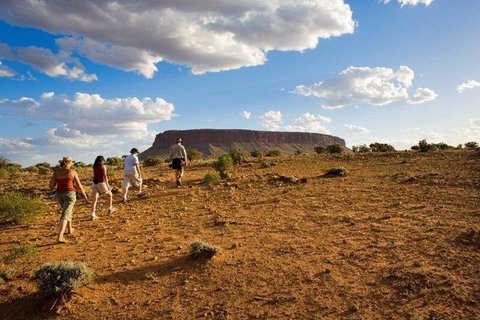 Mount Conner 4WD Small Group Tour From Ayers Rock Including Dinner - Hotel WA 0