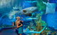 Cairns Aquarium Admission Ticket - thumb 3