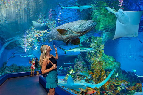 Cairns Aquarium Admission Ticket - Hotel WA 3