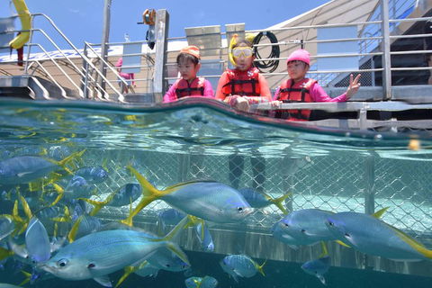 Outer Reef Pontoon Experience From Cairns - Hotel WA 0