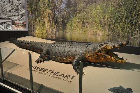 Explore Darwin City Sights Including Key Attractions - Hotel WA 2